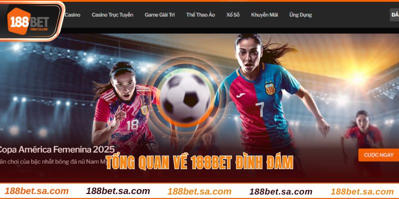 TRANG CHỦ 42 Tổng quan về 188BET đình đám
